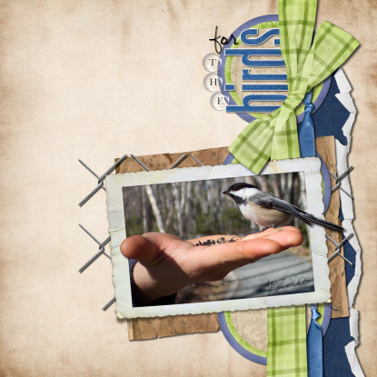 ForTheBirdsLOSample