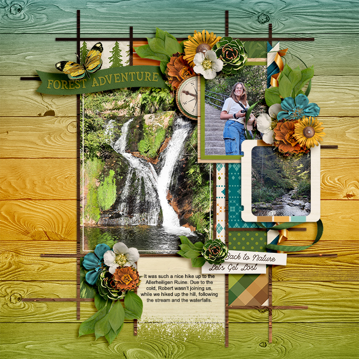 ForestAdventureweb