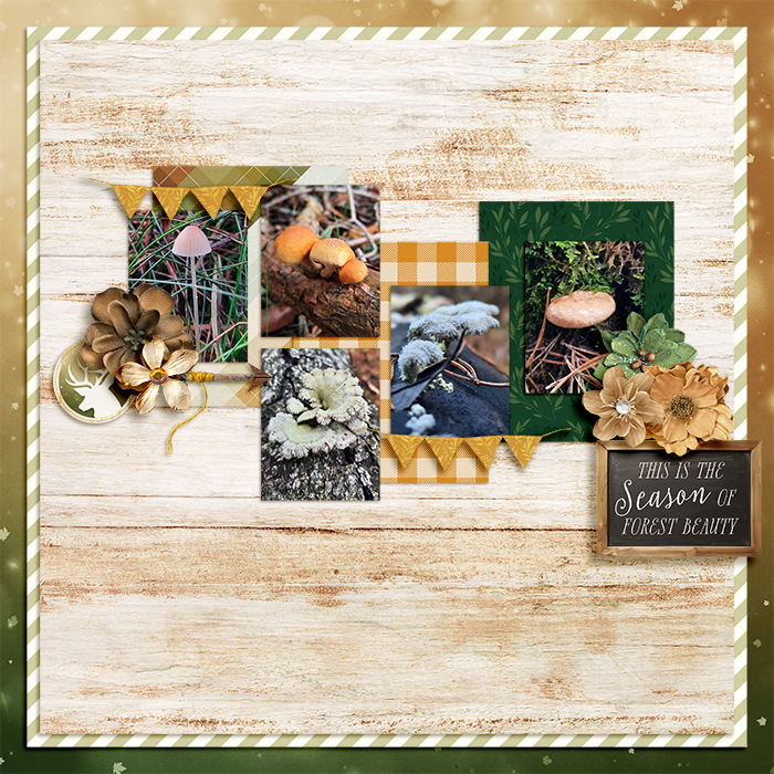 ForestBeautyweb