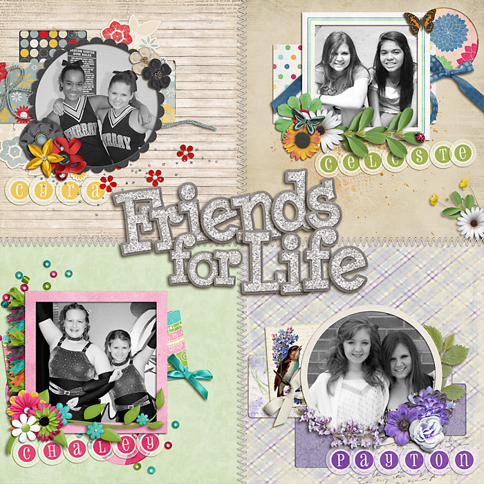 FriendsForLifeWeb