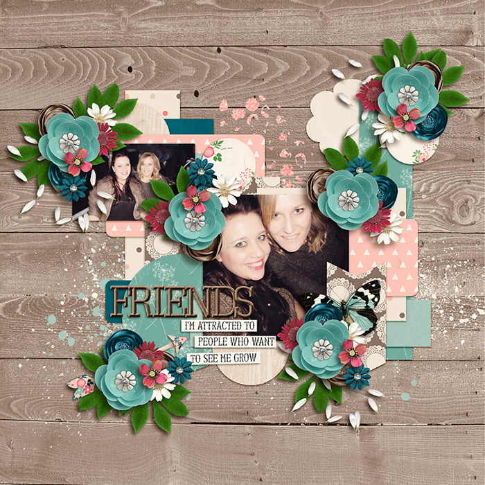 Friends_-_small