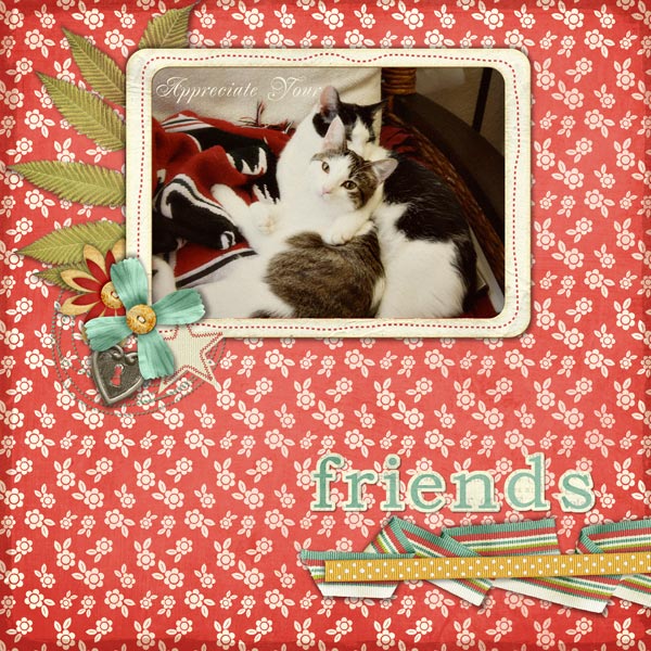 Friends_web5