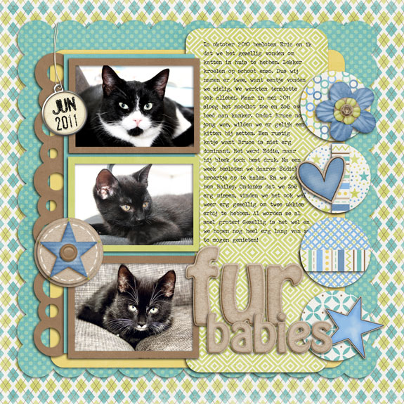 Fur-babies-ssd