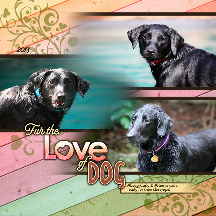 FurTheLoveOfDog