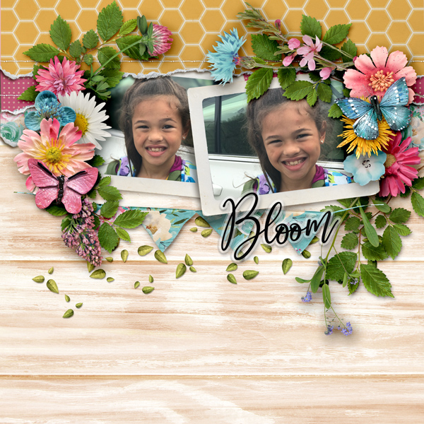 Gallery-Bloom-and-Grow