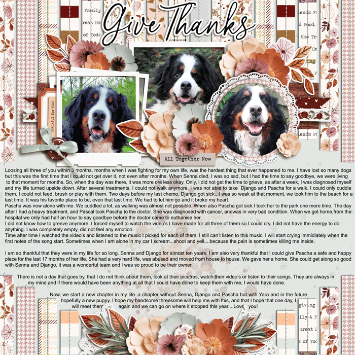 Give-thanks---Kim-Isaacs-cschneider-HP407-700