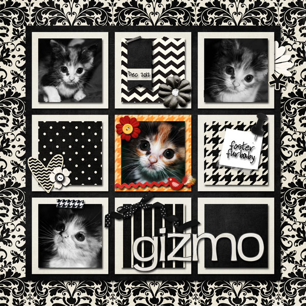 Gizmo1