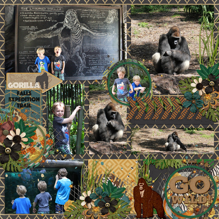 Gorilla-Falls-jencdesigns-pocketsnaps-vl1-tp3-sh