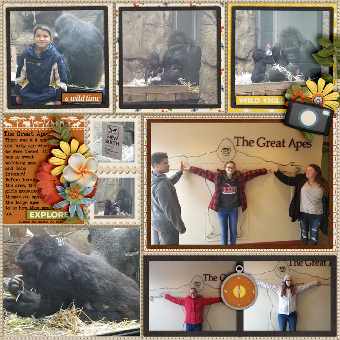 Gorillas_Toledo_Zoo_March_30_2018_smaller