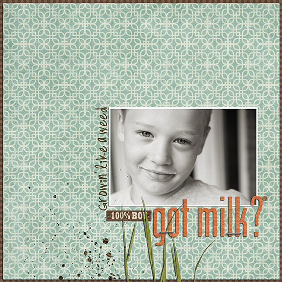 Got-Milkweb