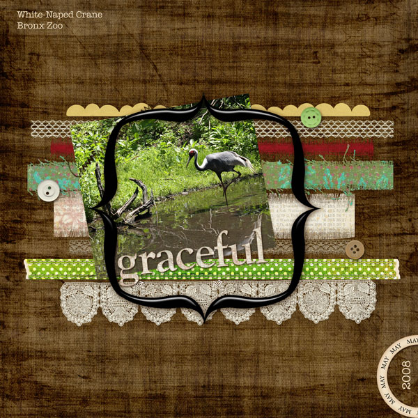 Graceful_web