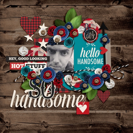 HANDSOME_TM_1456011307_85880_1456011307_91103