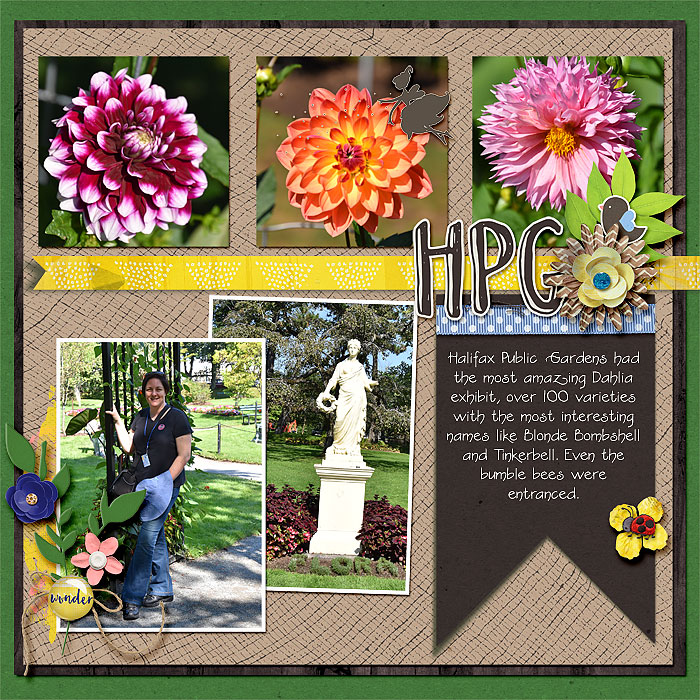 HPG-small