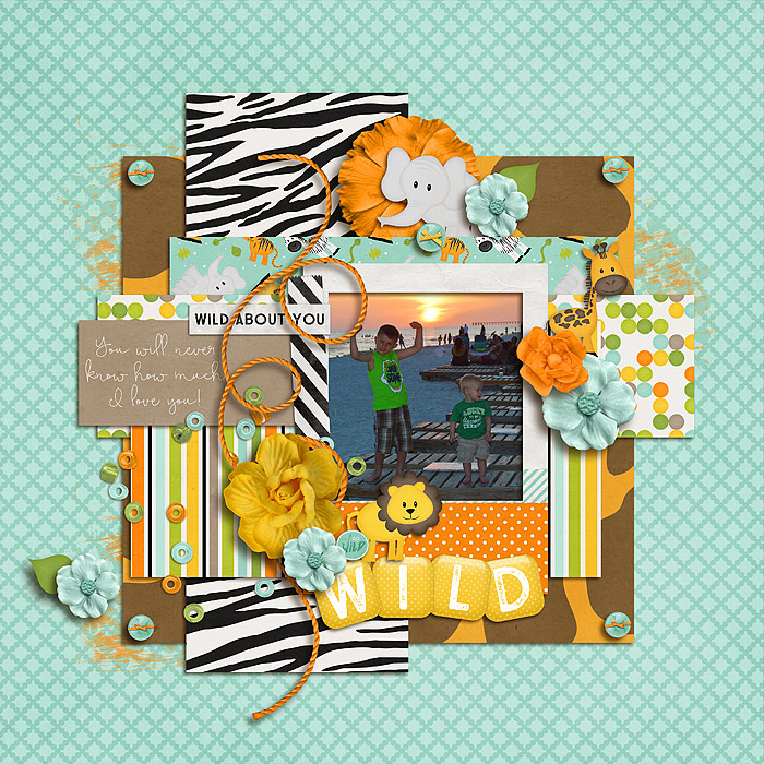 HR_wild_CT7
