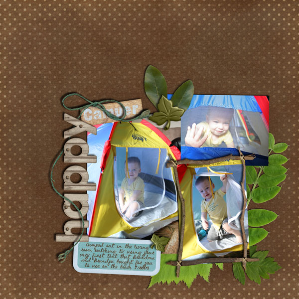 HappyCamperWeb