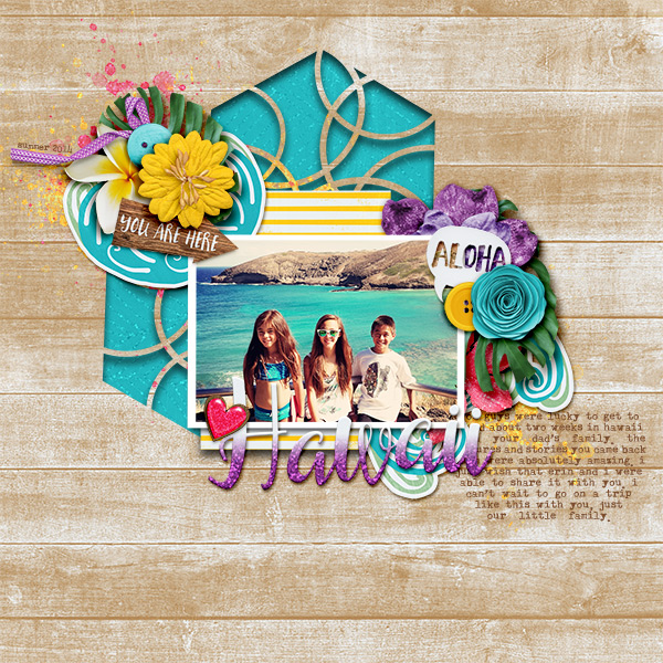 Hawaii-small