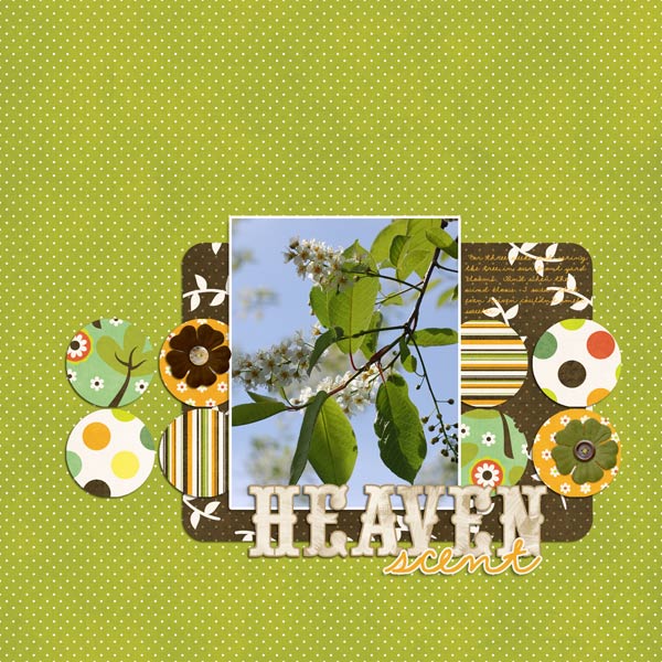 Heaven-Scent-600