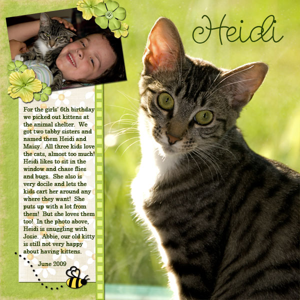 Heidi_copy