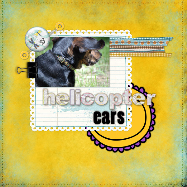 Helicopter-Ears