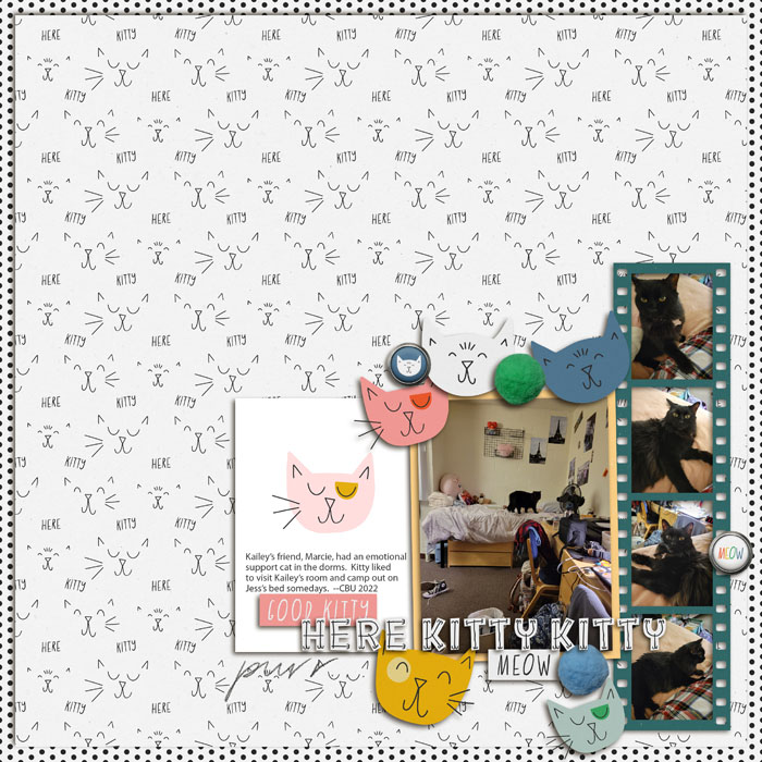 Here_Kitty_Kitty_CBU_Kailey_2022_smaller