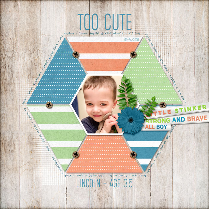 Hexagon-Template1-700