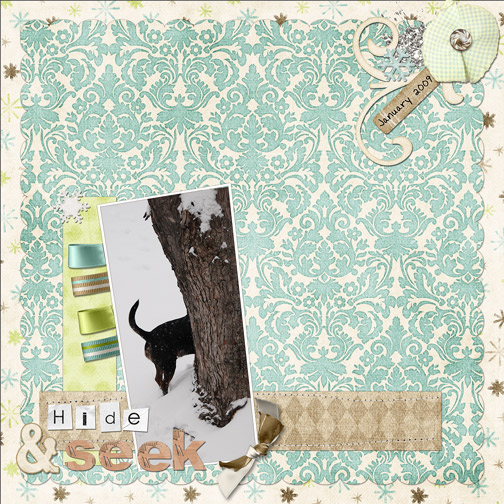 Hide-N-Seek