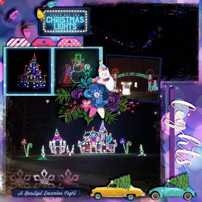 Hines_Drive_Lightfest_Dec_5_2020_smaller
