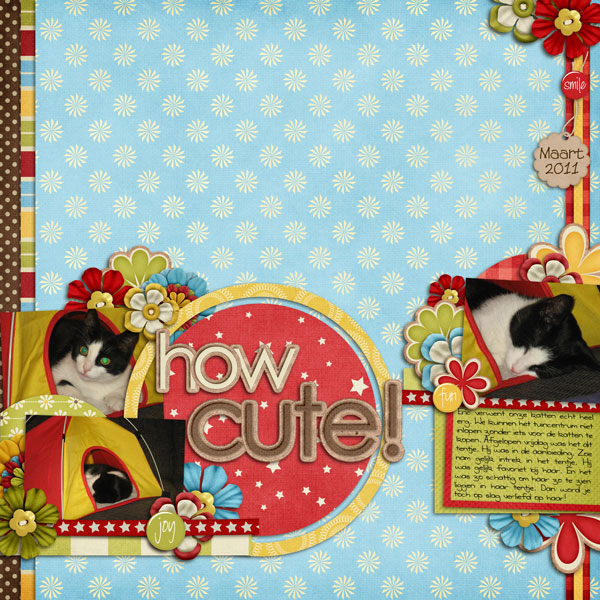 How-cute-ssd