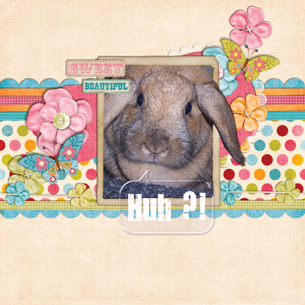 HuhForWeb