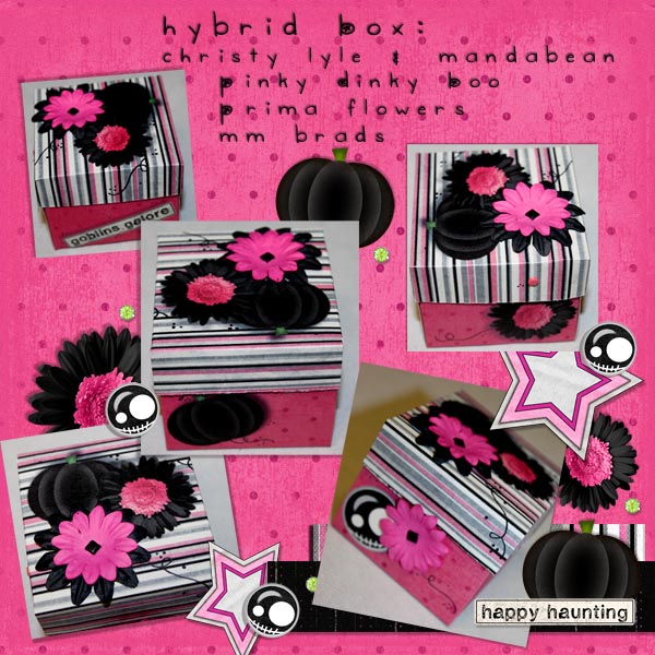 HybridBoxsm