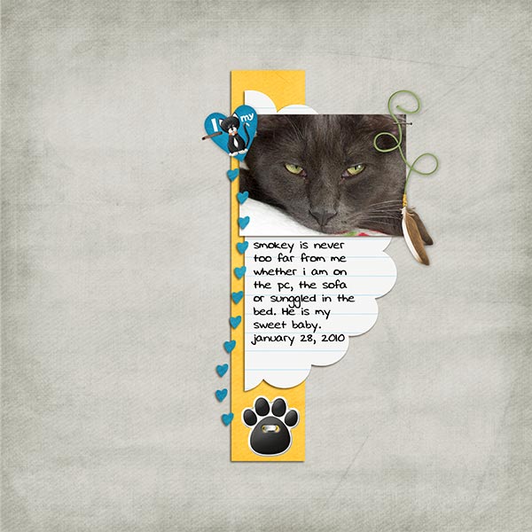 I-love-my-cat-WebSSD
