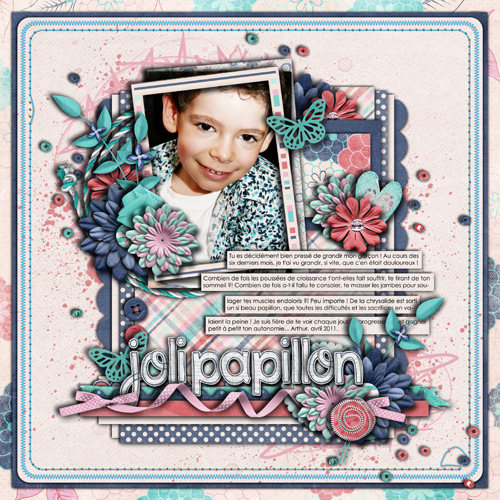 IFasquelle_Joli_Papillon
