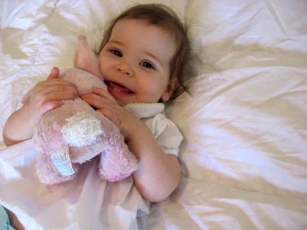 IMG_2543_copy