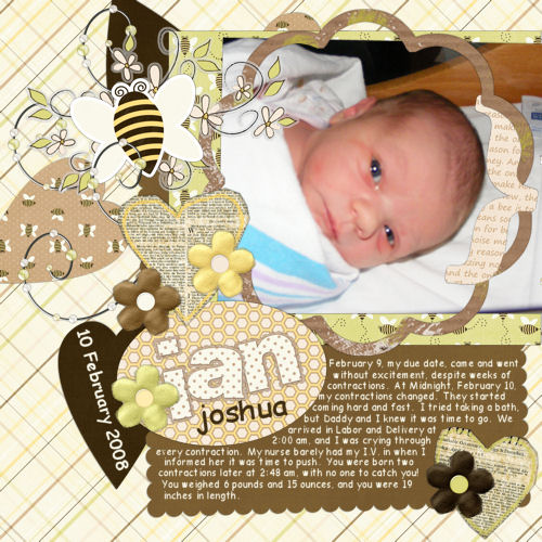 Ian_s_Birth_Storyweb