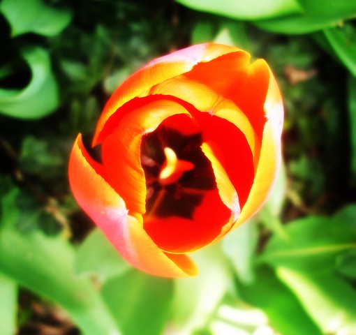 Image000011