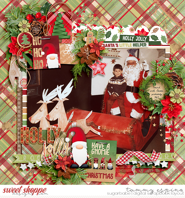 Img018b_wp-GnomeForChristmas_bm-Duo61_babe