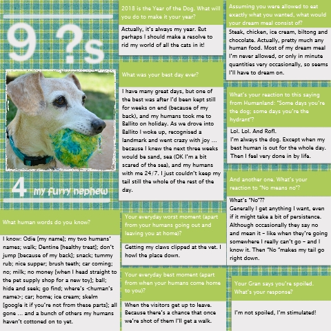 Interview_40
