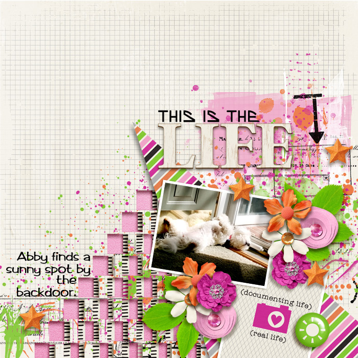 JJD_ttt_ThisIsTheLife