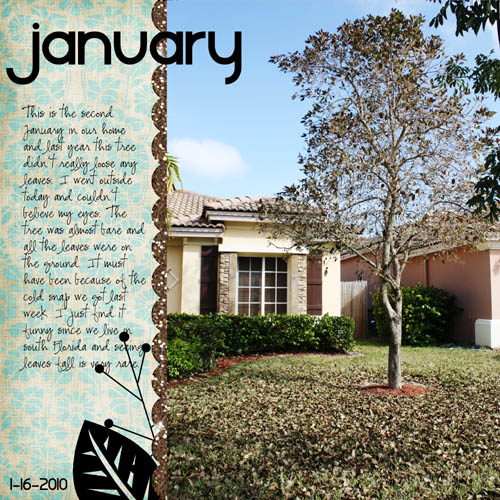 January_tree_GP