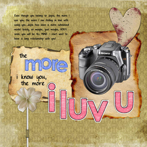 Japa_s-Camera