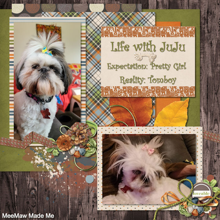 JuJu_2-_TheDogsBark_-JoCeeDesigns