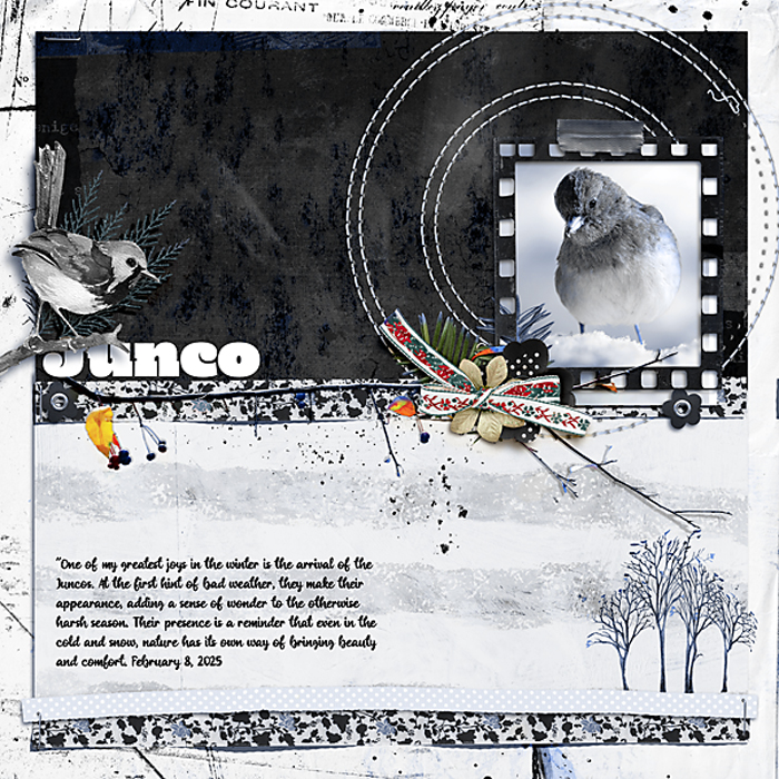 Junco-Scraplift-copy
