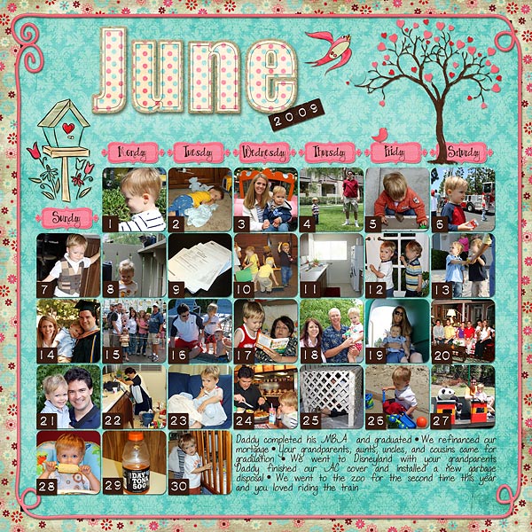 June-20091