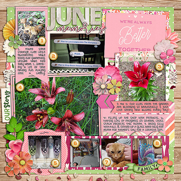JuneMemories-thumb