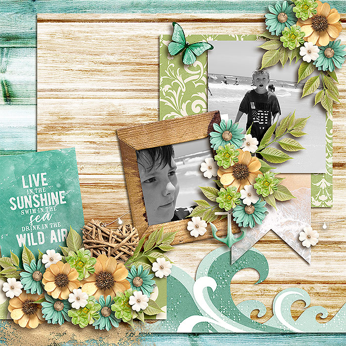 KCB_live_CT7