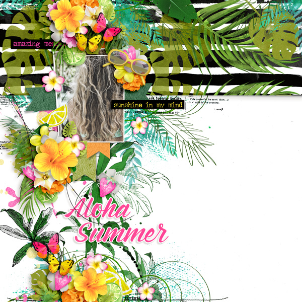 KCO_AlohaSummer_600