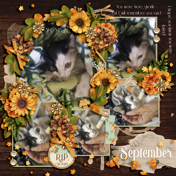 KCO_September2018