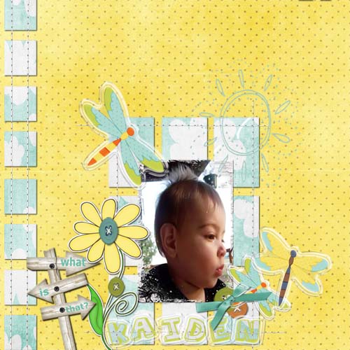 Kaiden1