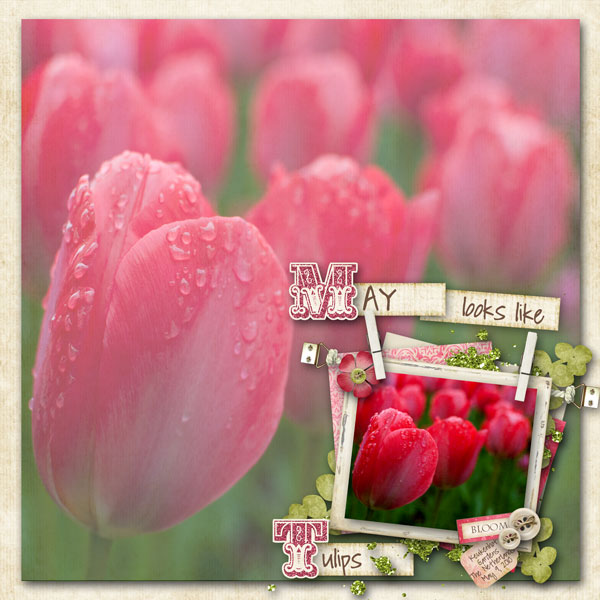 Keukenhof----The-Netherland