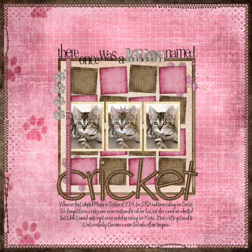 KittenNamedCricketLOSample